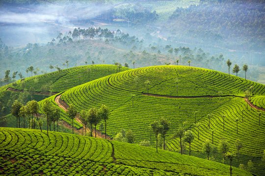 Kerala Honeymoon special 7D6N
