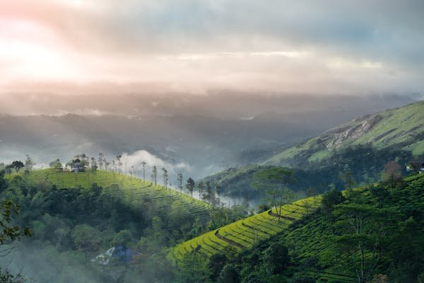 Kerala Honeymoon special 7D6N